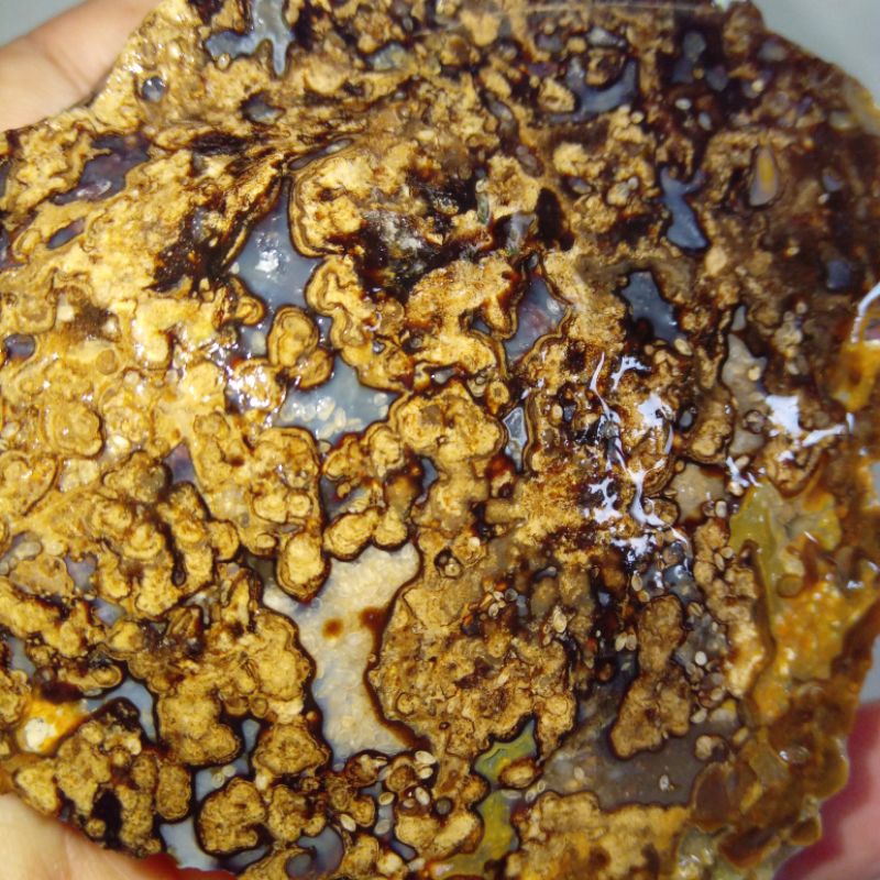 Original Batu Badar Emas Top Quality