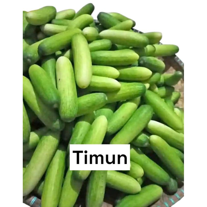 

Timun Segar 500gram