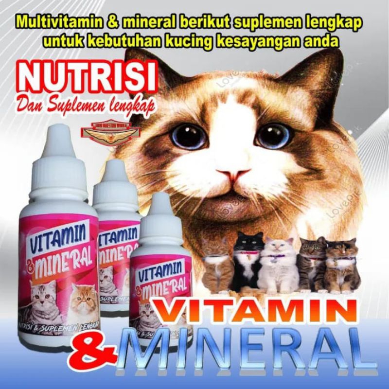 Multivitamin Kucing