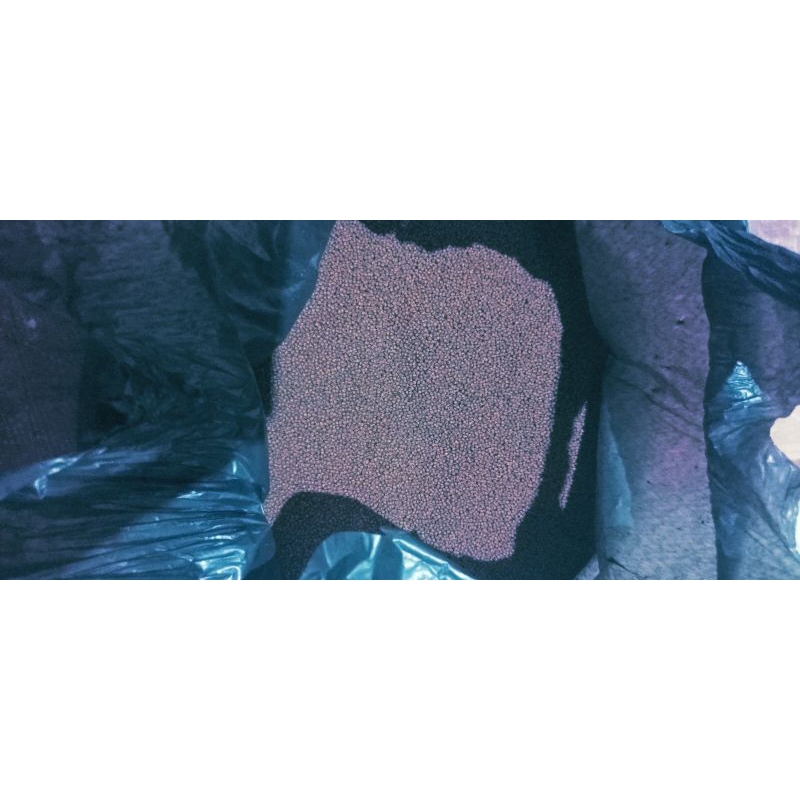 PAKAN BIBIT / BURAYAK IKAN LELE / IKAN NILA / GURAMI (PF 1000)