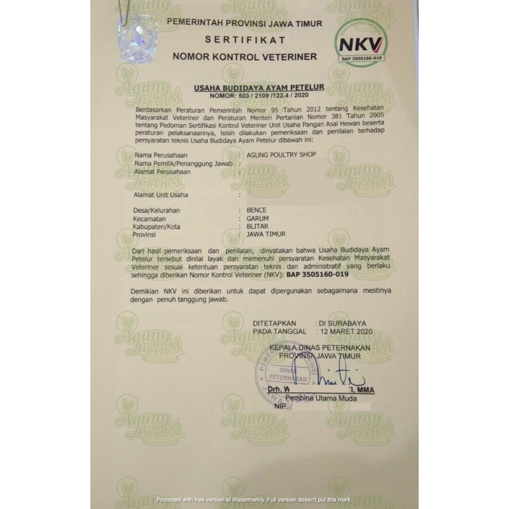 

RB Telur Omega 3 Paket Hemat Nabati Curah per kg kiloan dari Kandang NKV