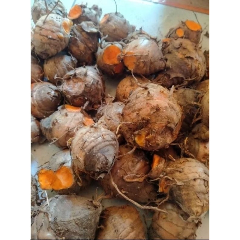 

BIANG KUNYIT KUNING FRESH 1KG/BIANG KUNIR MURAH