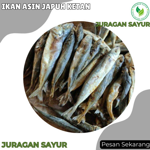 

Ikan Asin Japuh Ketan - Ikan Asin Japuh Ketan Super - Juragan Sayur