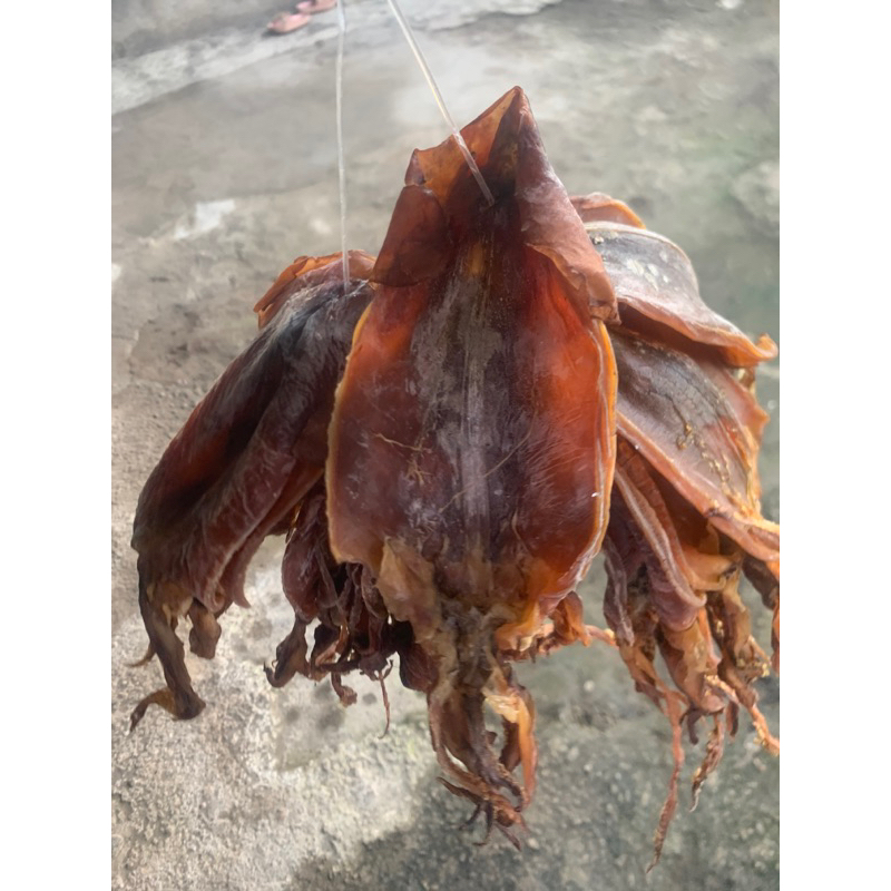 

cumi kering / juhi kering / sotong kering tawar