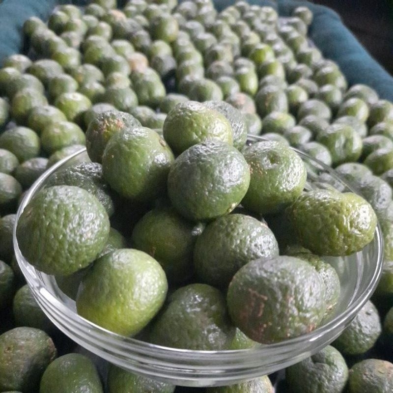 

Jeruk Limau / Jeruk Limo segar Cap Wangi Aromanya