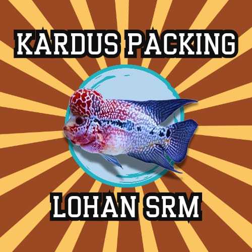

KARDUS PACKING LOUHAN SRM, KAMFA & GB 8-18CM