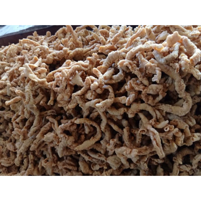 

kripikususayam
