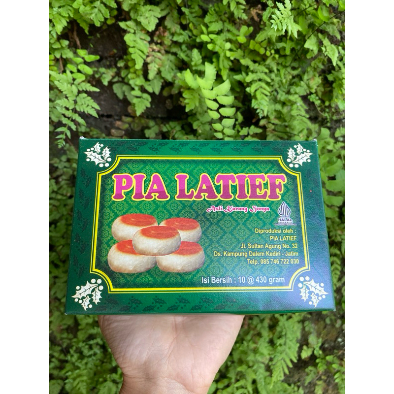 

Kue Pia Isi 10 Pcs