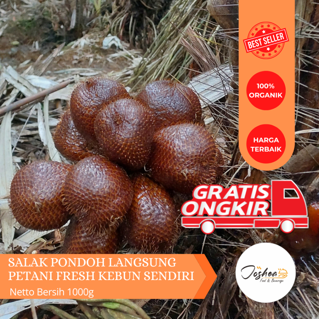 

Salak Pondoh Manis Super Fresh Petik Langsung Perkebunan Sendiri salak pondoh