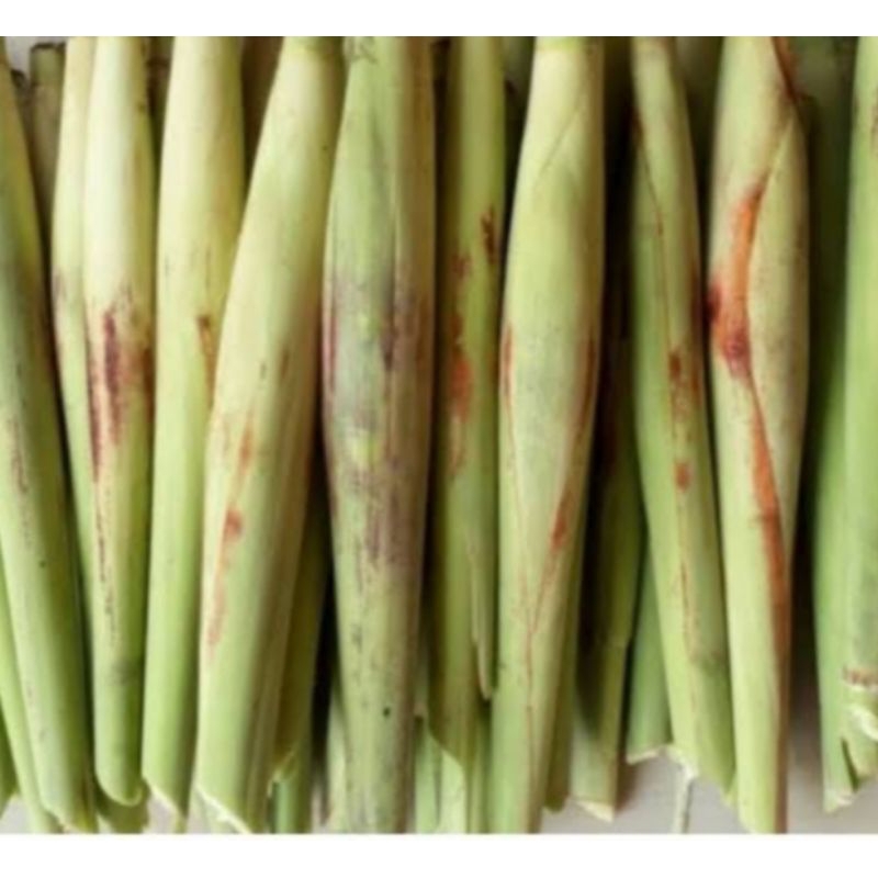 

tebutelur-perikat(10pcs)
