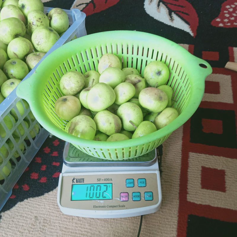 

Apel Manalagi Mini 1kg | Isi 25-28 buah