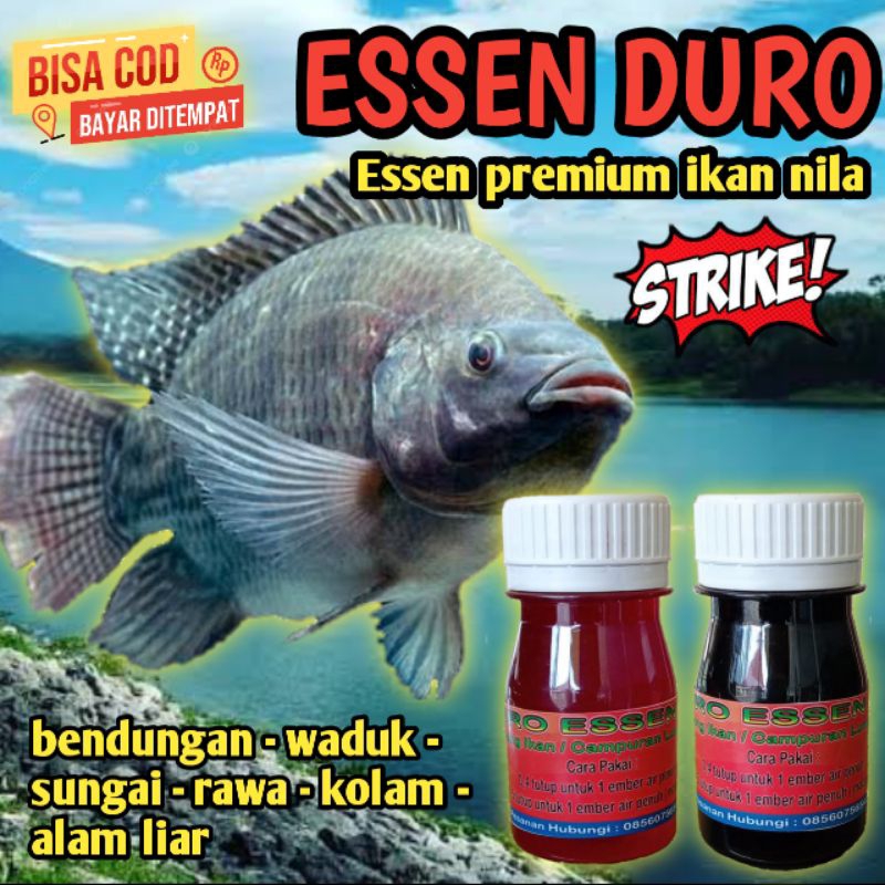 ESSEN DURO - Essen lumut SUPER GACOR mancing ikan nila liar