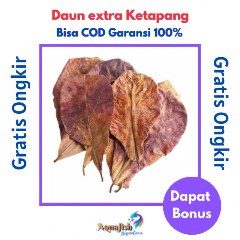 

Daun Ketapang kering Murah