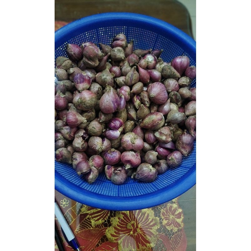 

BAWANG MERAH 1KG