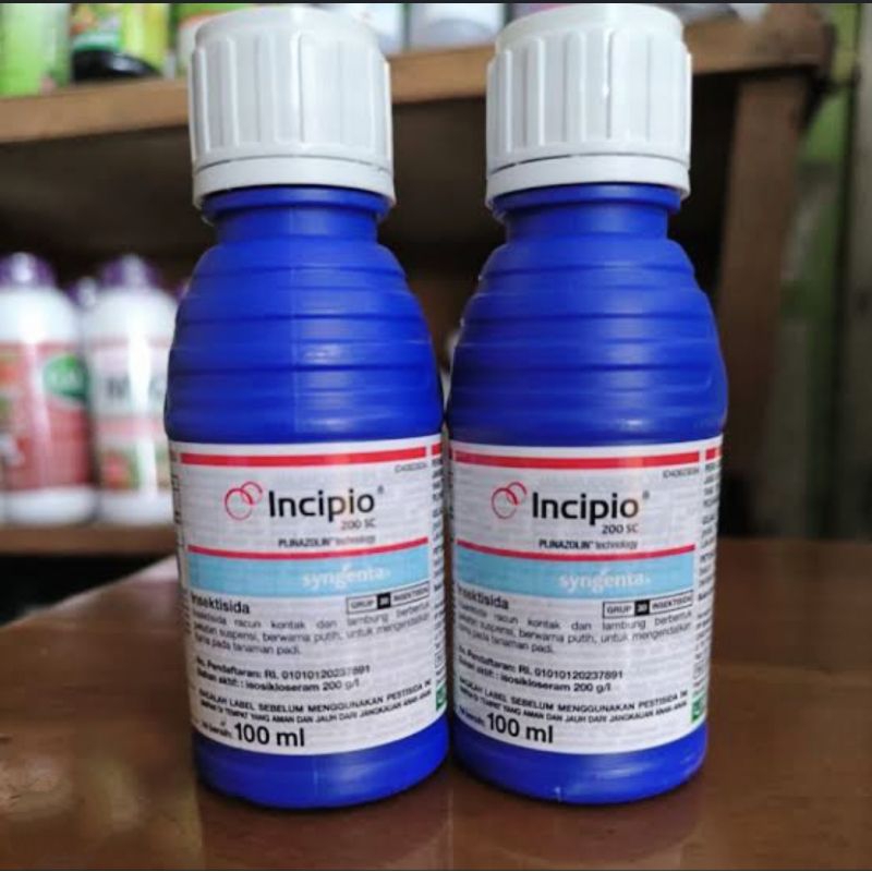 Incipio 100 ml