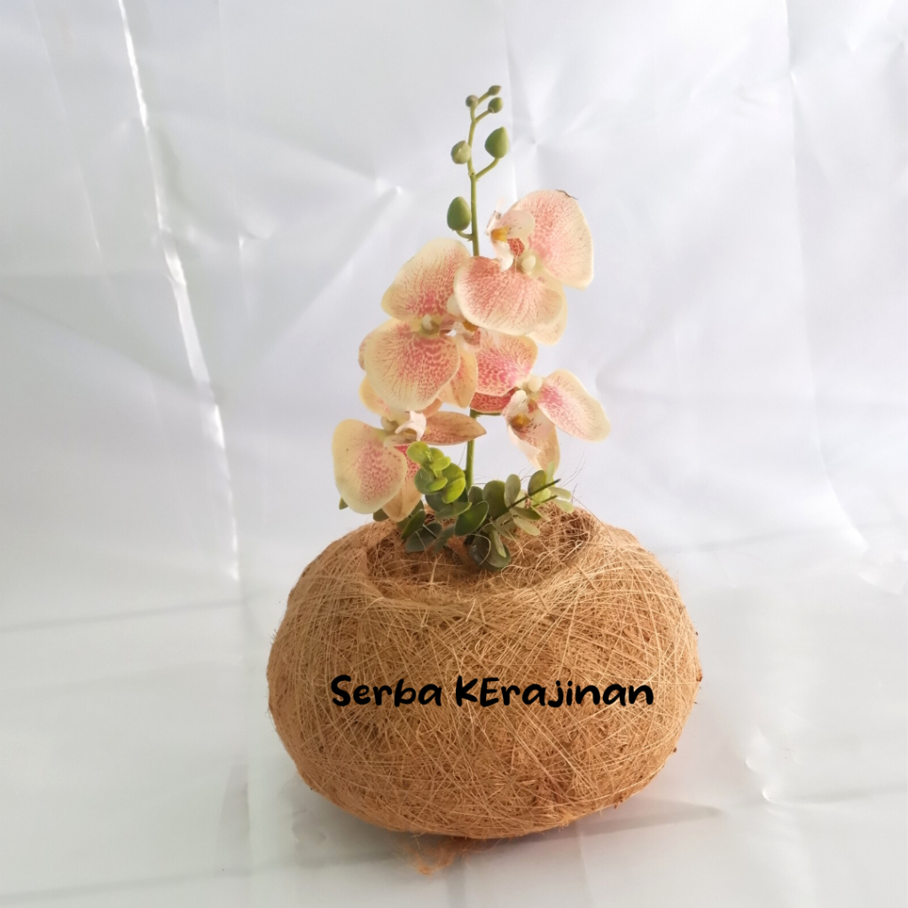 KOKEDAMA SIAP PAKAI  pot sabut kelapa model kokedama vas bunga cover pot ruangan indoor cantik