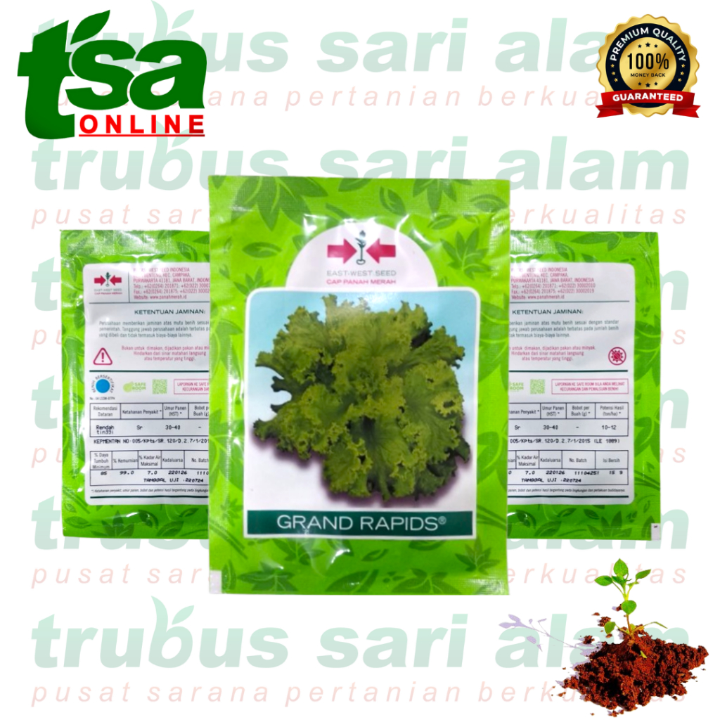 GRAND RAPIDS 15gr - Benih bibit biji sayur sayuran selada terbaik hidroponik Cap Panah Merah