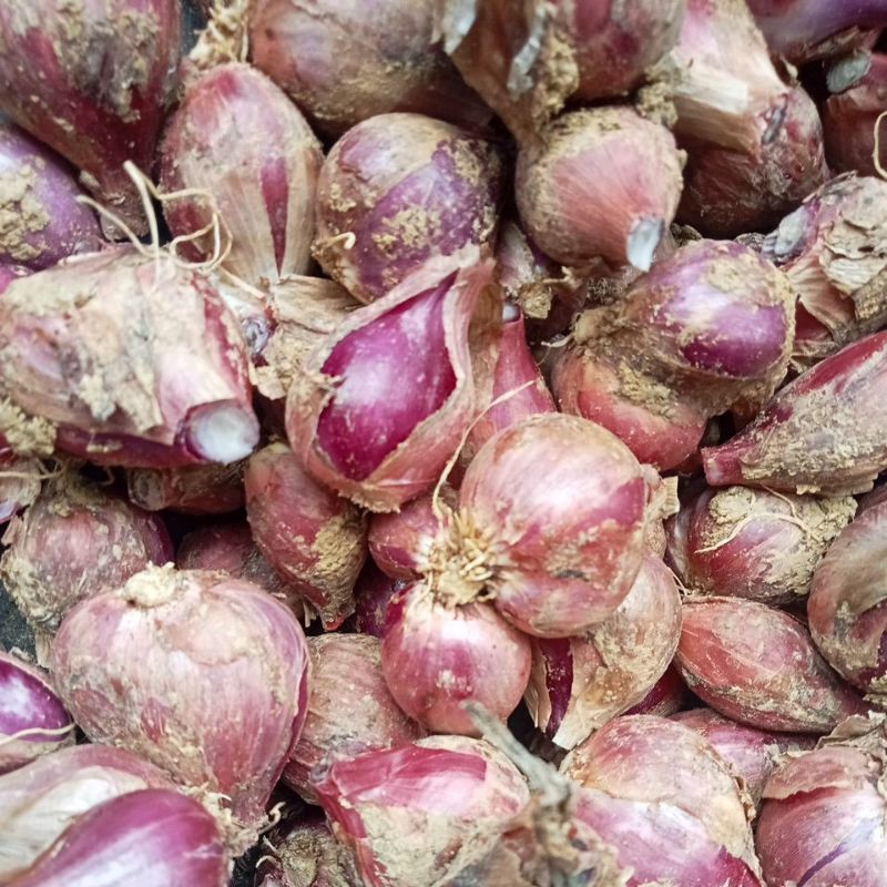 

BAMER JUMBO MURAH 1 kg