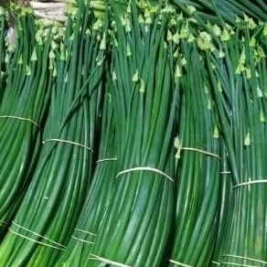 

Kembang Bawang