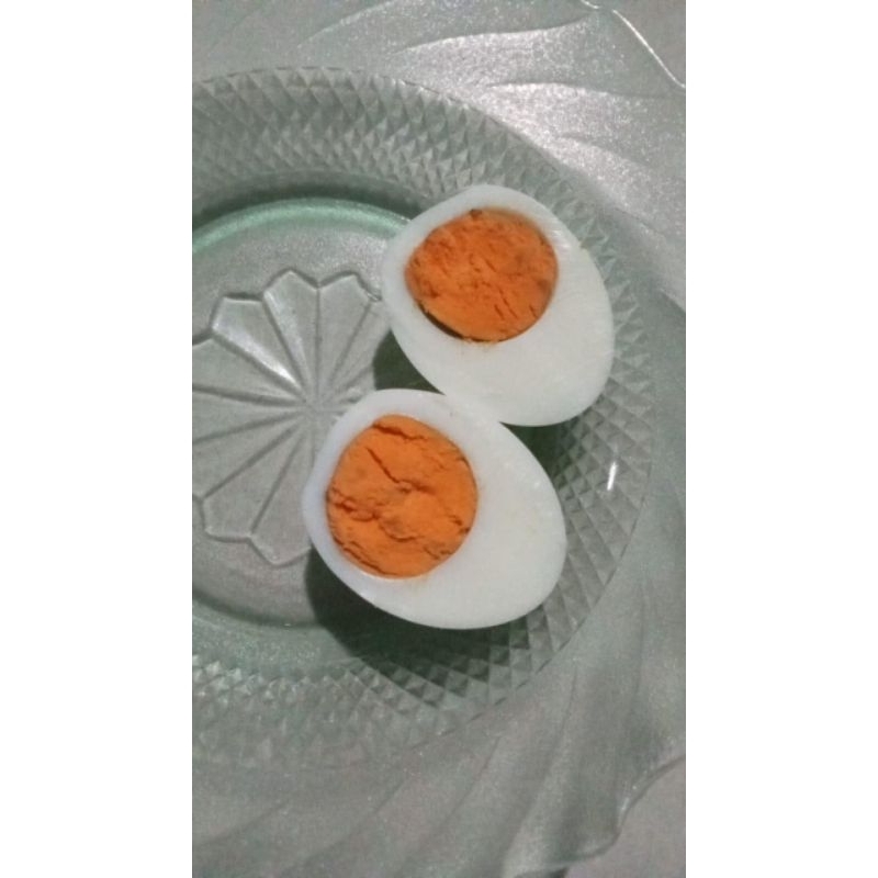 

Telur Omega Isi 10 | Telur Ayam