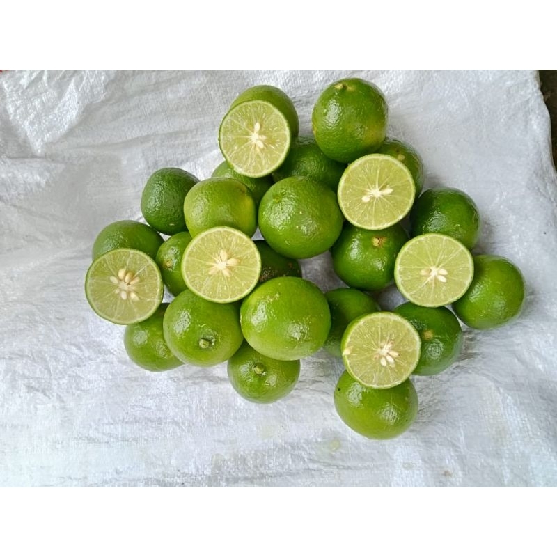 

Jeruk Nipis Segarr 1 kg Fresh