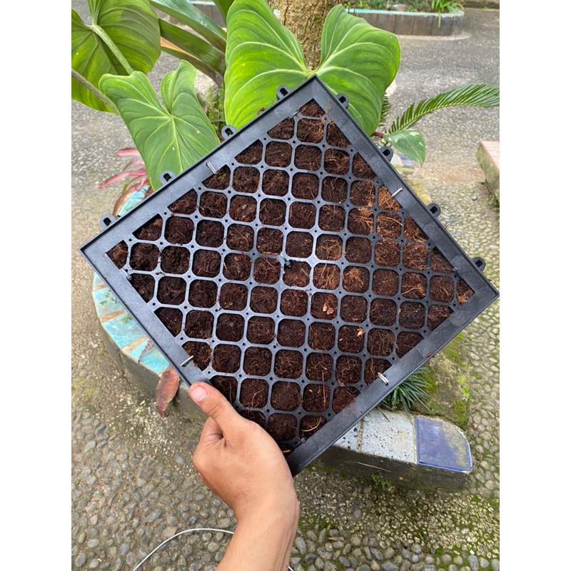 MEDIA / PAPAN SIMBAR 30x30cm DOUBLE PRAME