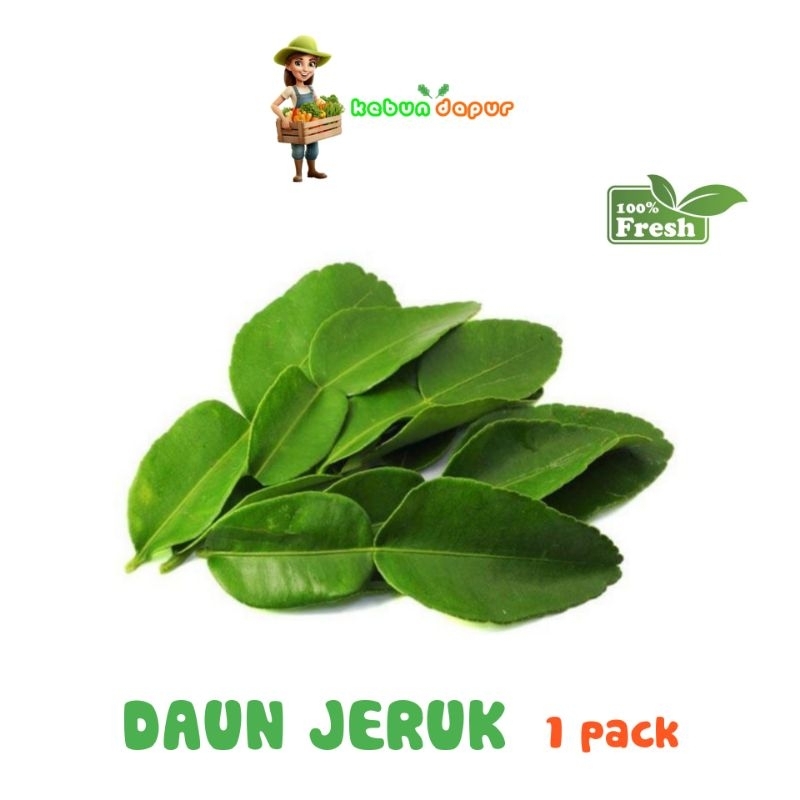 

DAUN JERUK FRESH Harga per 1 pack -Kebun Dapur-