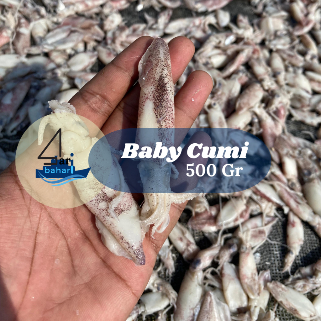 

Baby Cumi Asin Size Standart 500 Gr