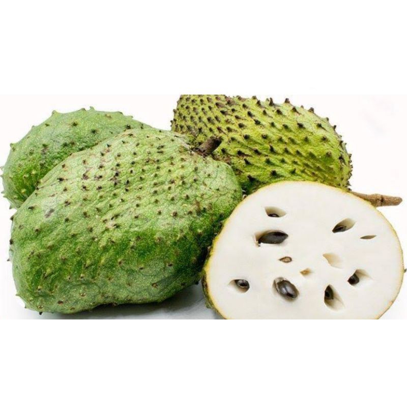 

Buah Sirsak