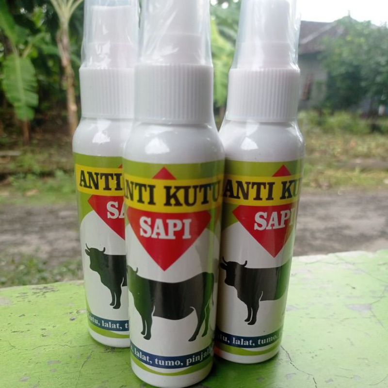 Anti kutu sapi membersihkan kutu pada sapi
