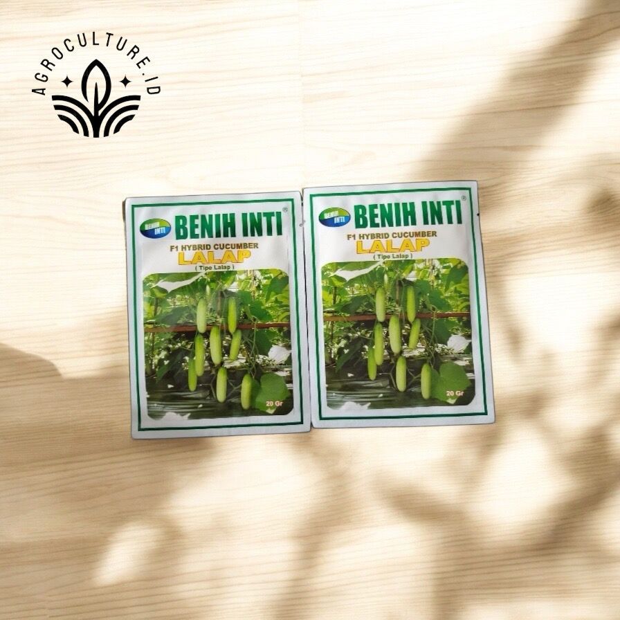 BENIH TIMUN F1 HYBRIDA LALAP 20GR - BENIH INTI