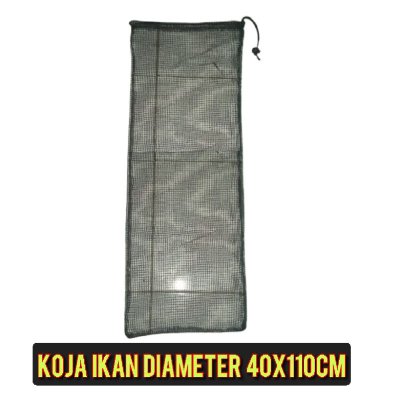 koja ikan kepis ikan tempat ikan