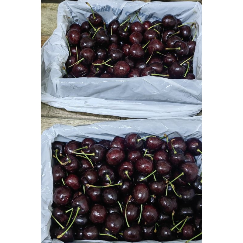 

Cherry koala harga promo (berat 250gr)