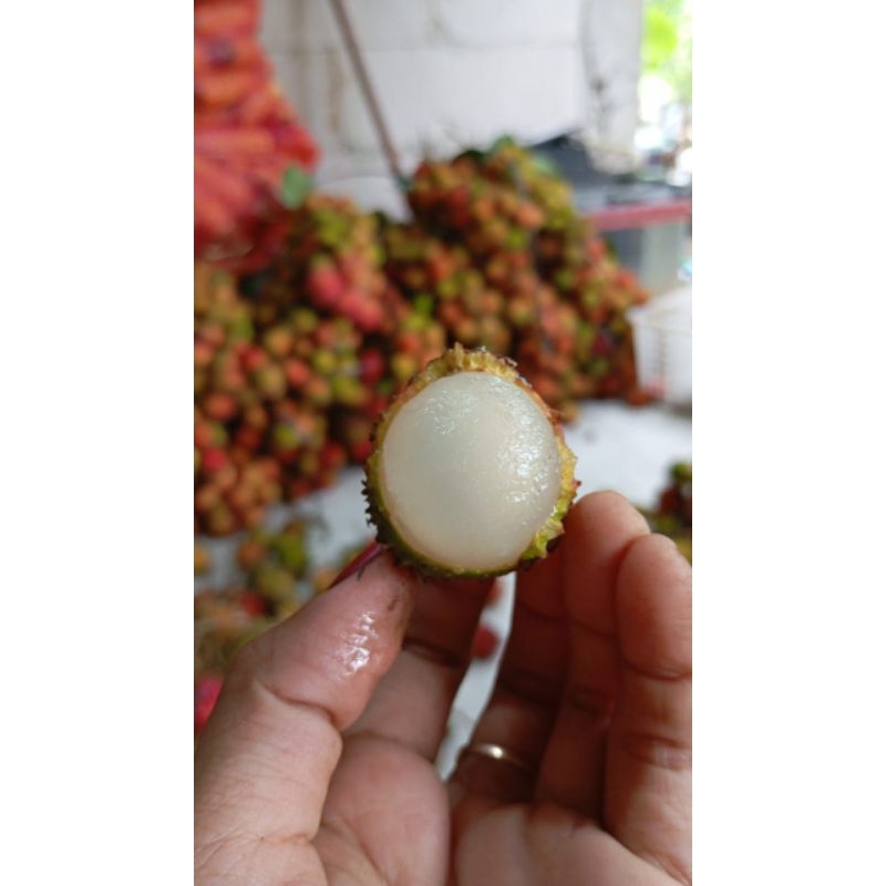 

rambutan rapia