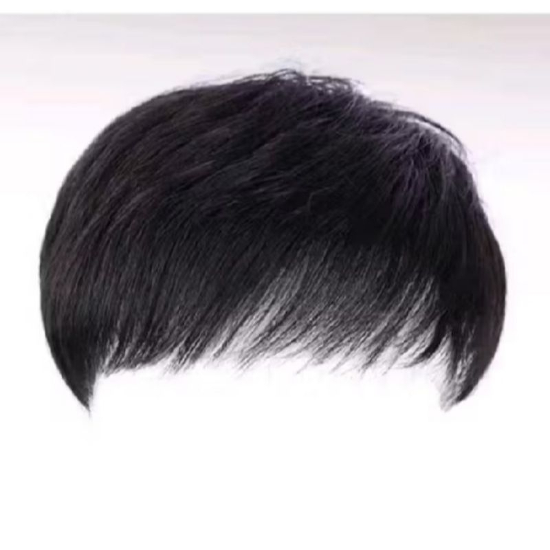 wig toupe/wig penutup botak/wig pria