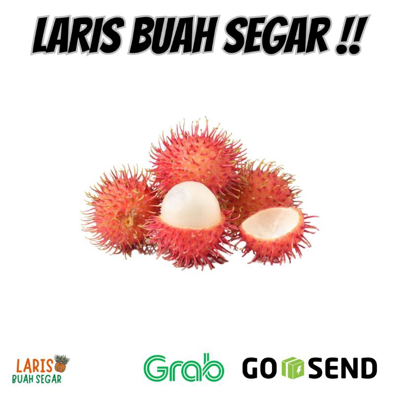 

BUAH RAMBUTAN ACEH SEGAR 1 KG - HARGA SPESIAL!