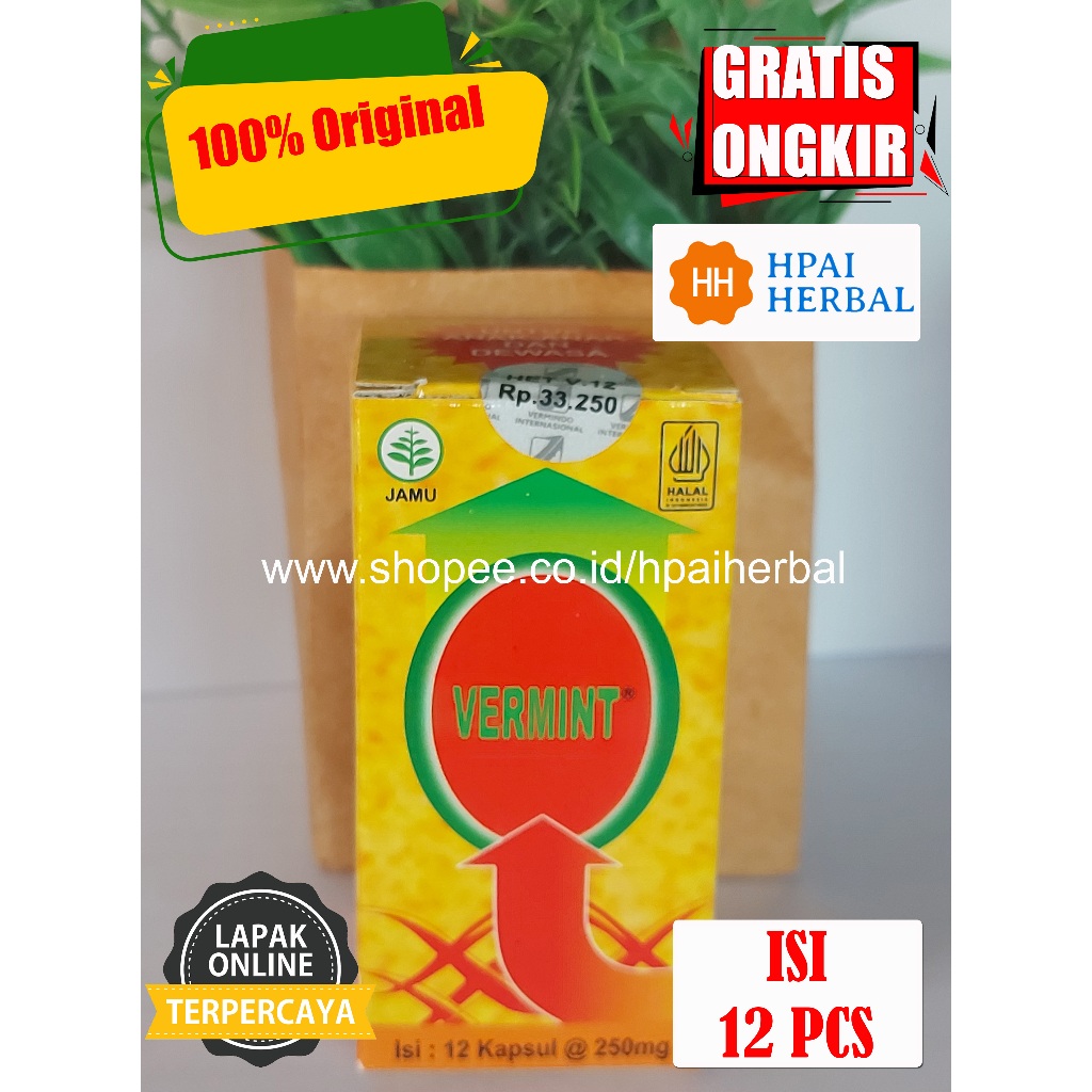 Vermint isi 12 - Kapsul cacing untuk tifus, demam tinggi, demam berdarah