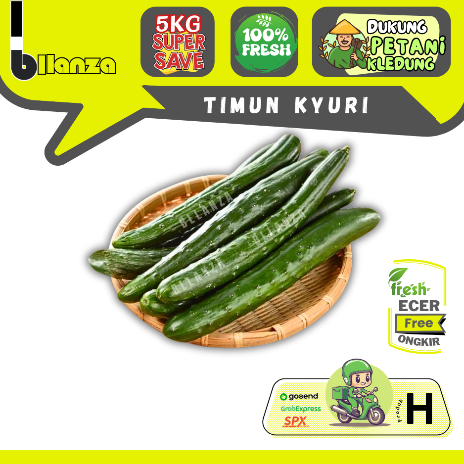 

Bllanza | Timun Jepang Kyuri — Sahabat Makan Sayur ECER (H)