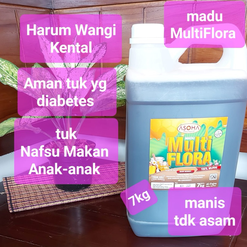 

ASOHA Madu Multiflora Murni 7kg Harga Grosir | Raw Honey