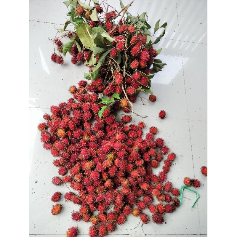 

Rambutan