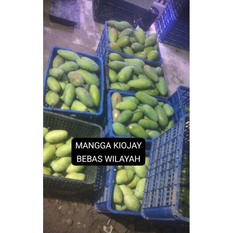 

MANGGA KIOJAY 5 kg dan 10 kg