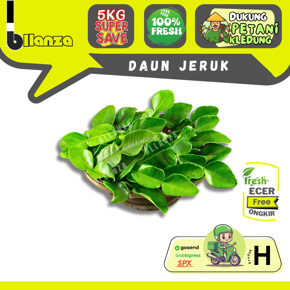 

Bllanza | Daun Jeruk — Sahabat Makan Sayur ECER (H)