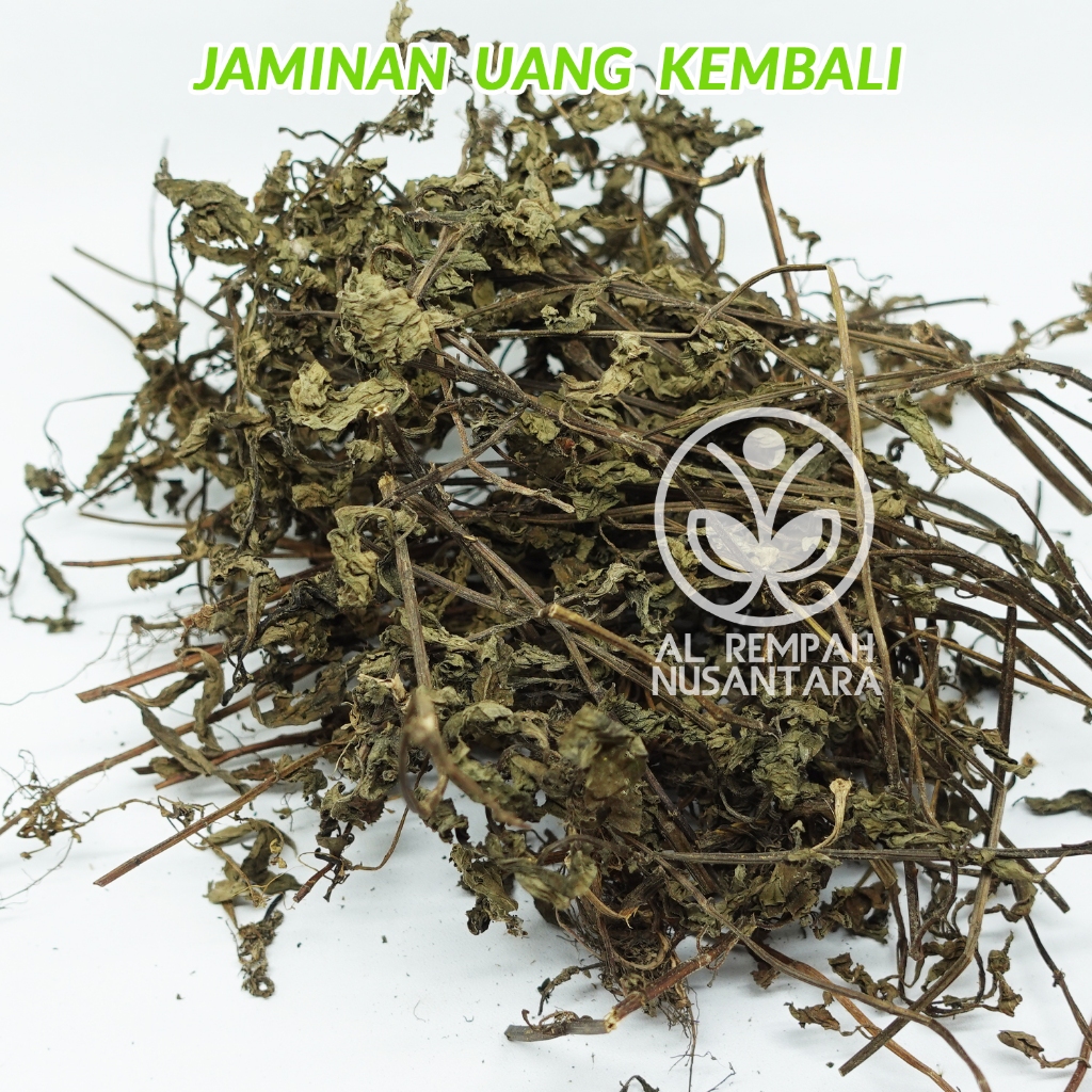 

Batang dan Daun Mint 500gr Kering Asli dan Organik