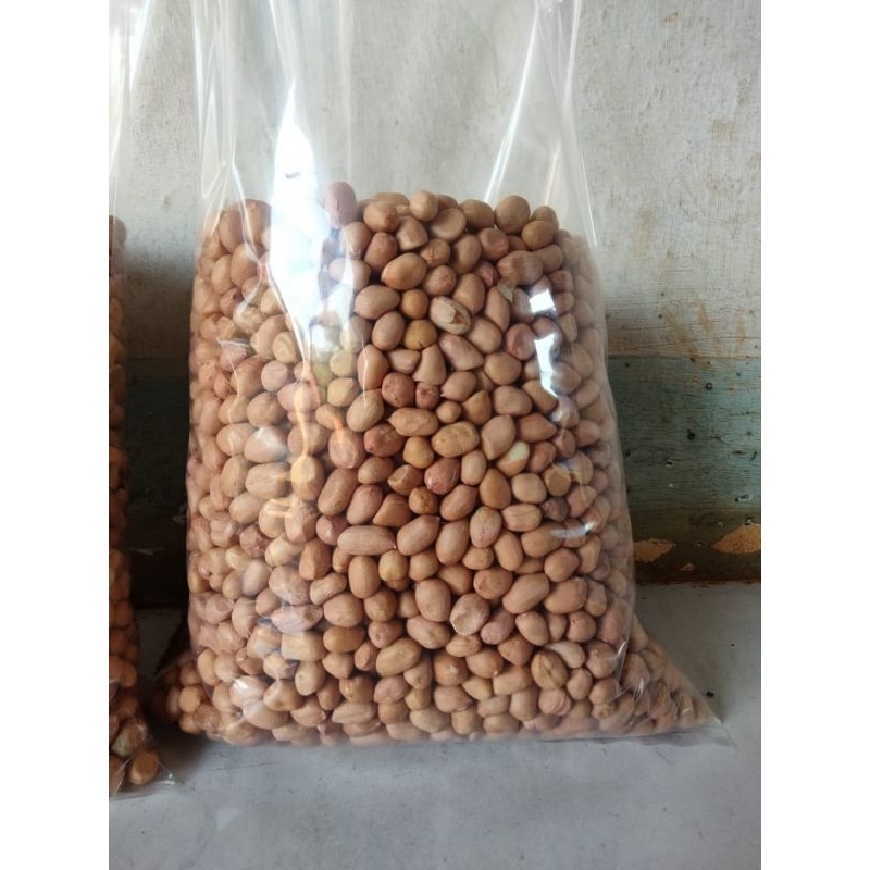 

kacang tanah 1kg besar besar