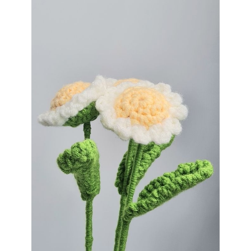 Bunga Daisy Putih Rajut (free bouquet plastik/harga per pcs)