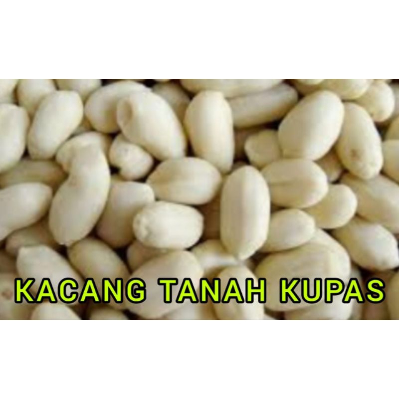 

KACANG TANAH KUPAS UKURAN JUMBO RP 10.500 / 250 GRAM