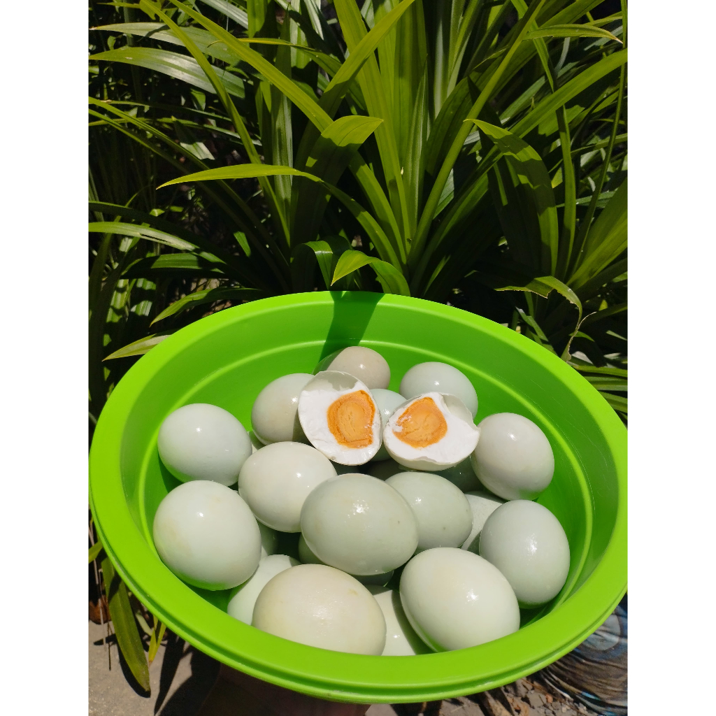 

[PRE-ORDER] TELUR ASIN MASIR MALANG