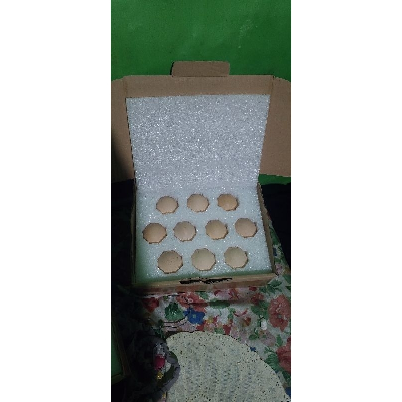 Telor Tetas Ayam Bp3 isi 10butir||Telor tetas untuk ditetaskan