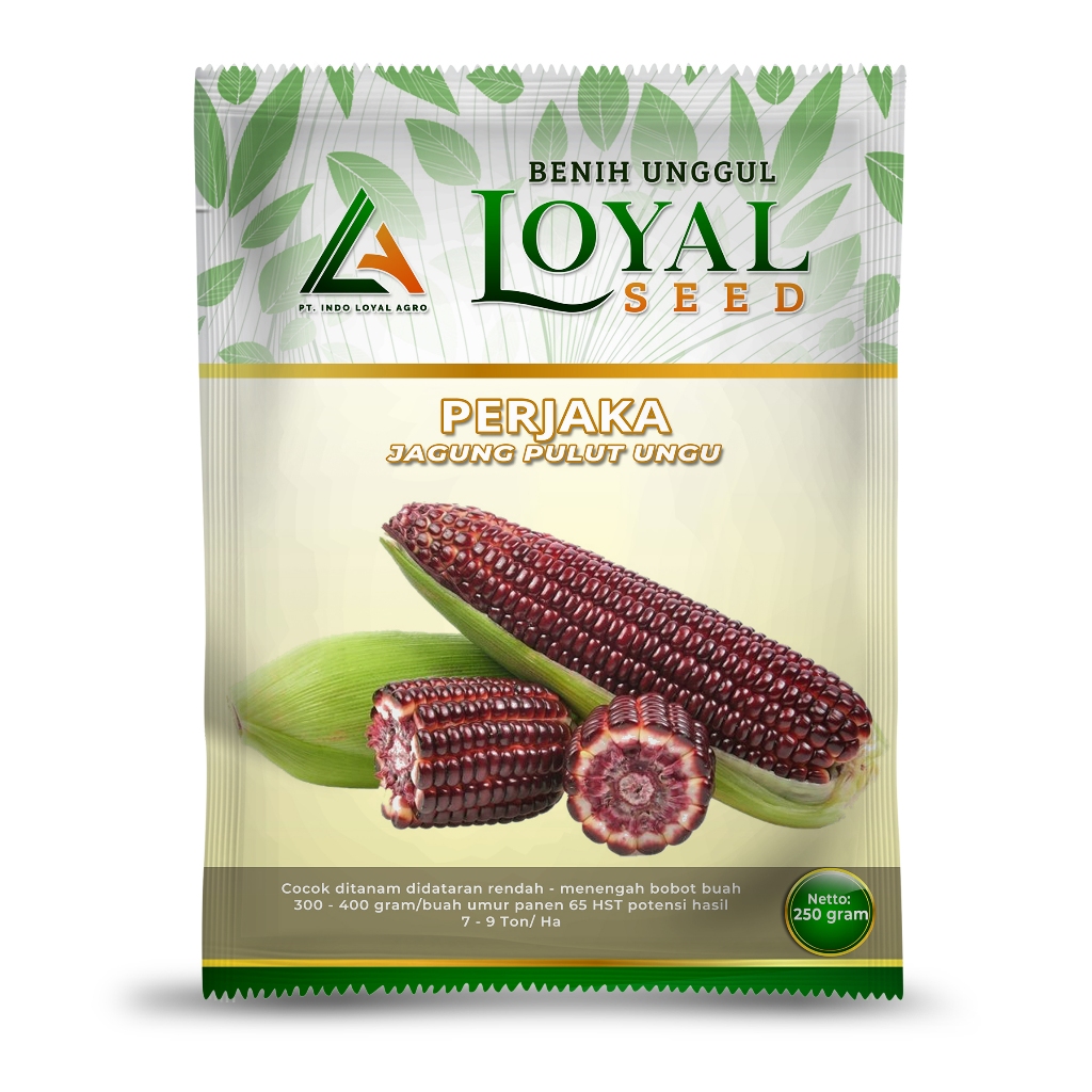 BENIH JAGUNG PULUT UNGU UNGGUL PERJAKA  250 GR CAP LOYAL SEED
