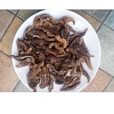

Teripang 250gr